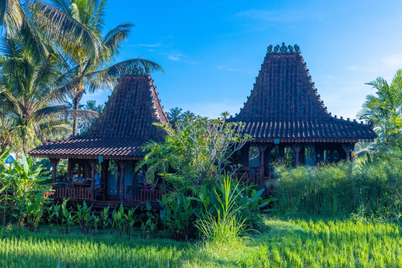 Villa Neyang Ubud  Exterior photo