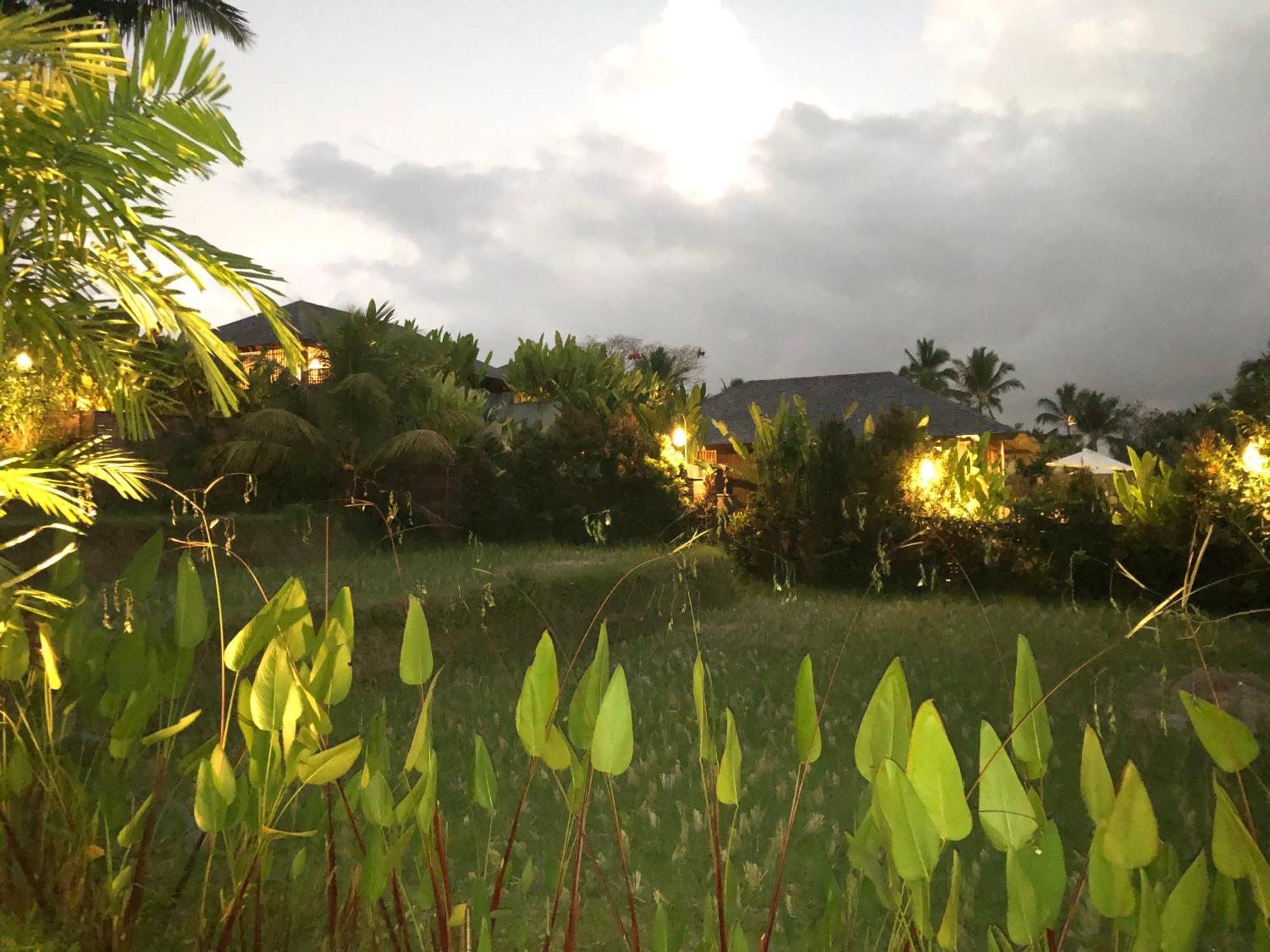 Villa Neyang Ubud  Exterior photo