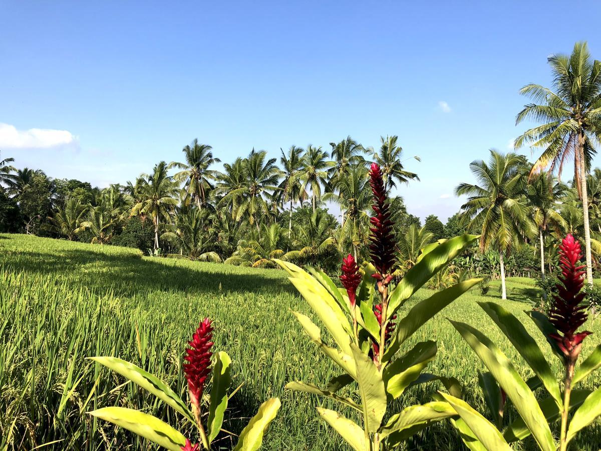 Villa Neyang Ubud  Exterior photo