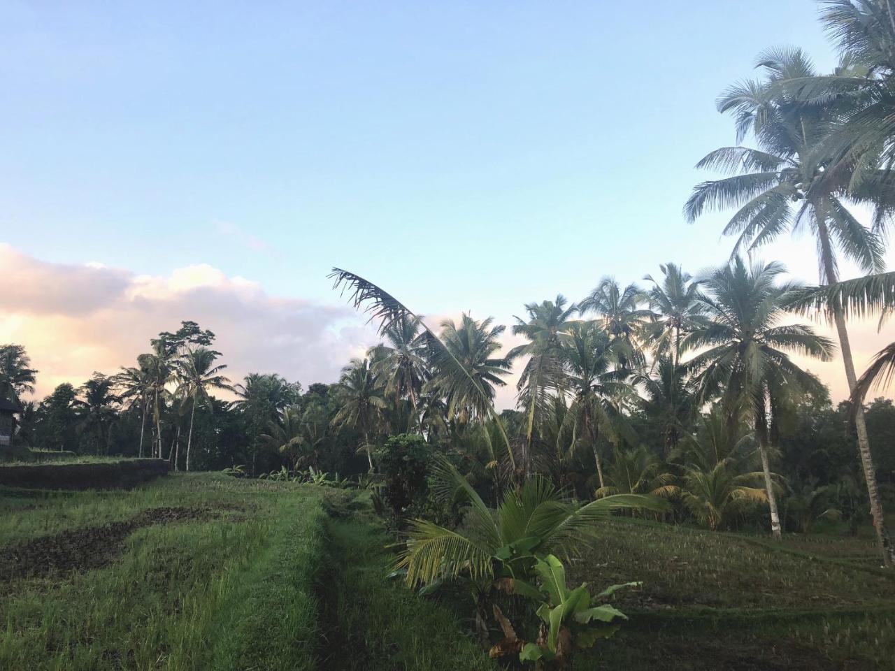 Villa Neyang Ubud  Exterior photo