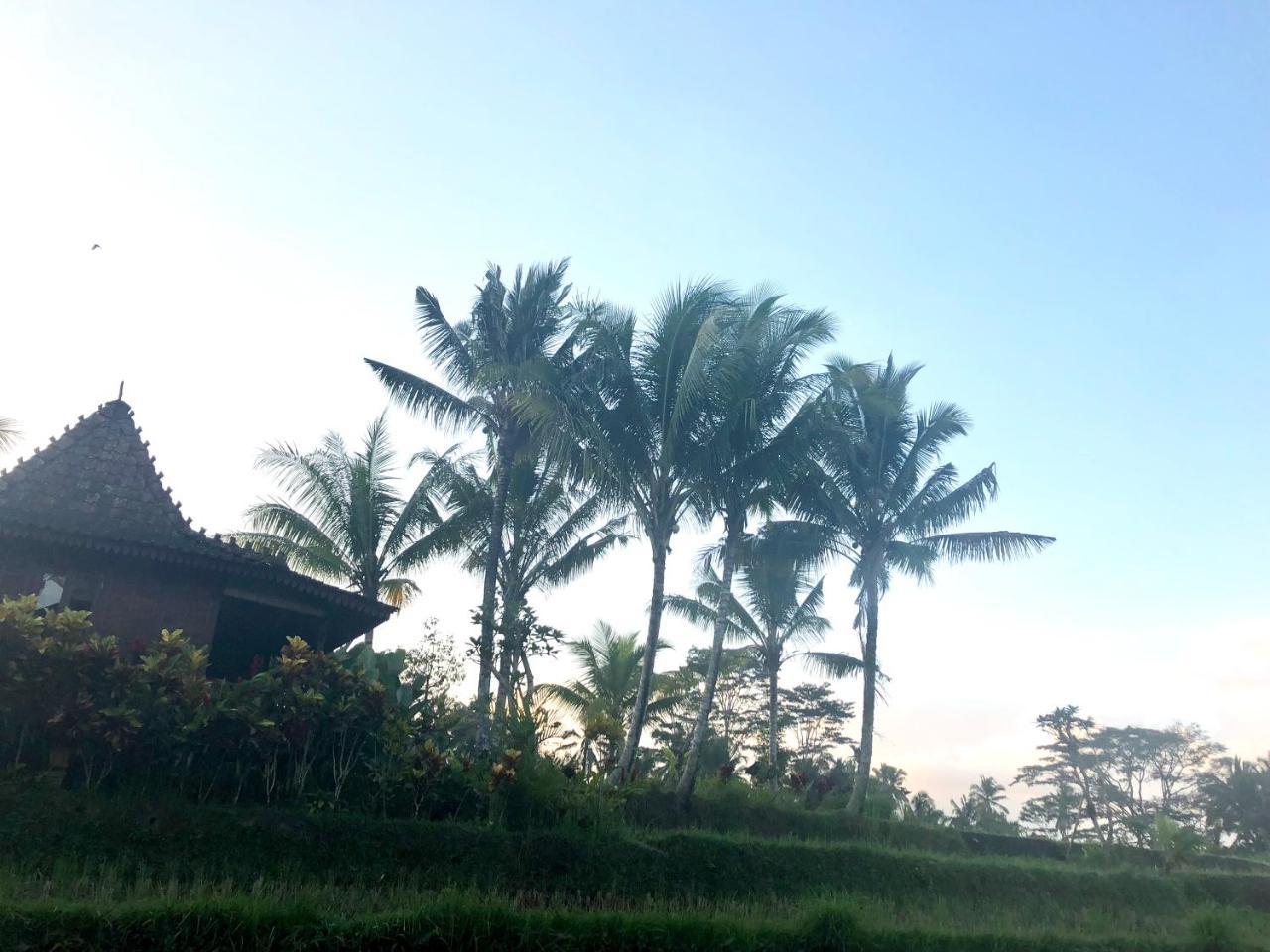 Villa Neyang Ubud  Exterior photo