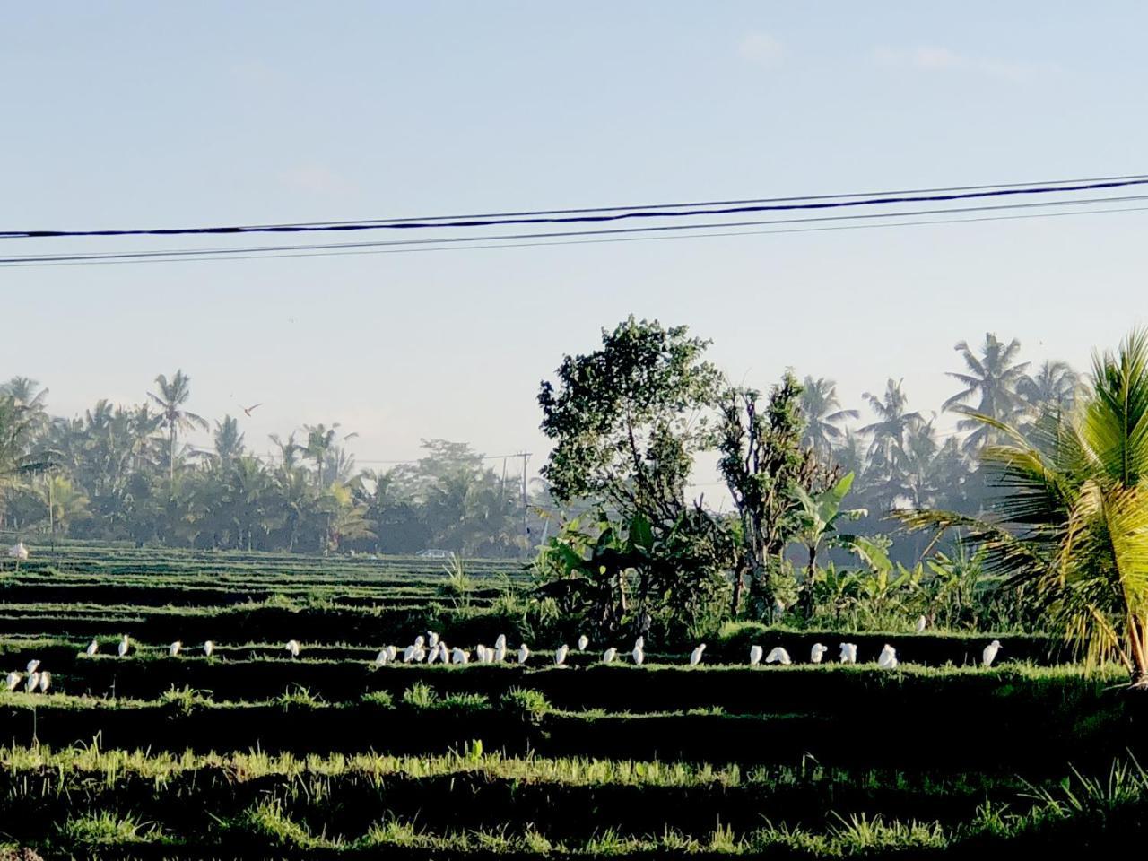 Villa Neyang Ubud  Exterior photo